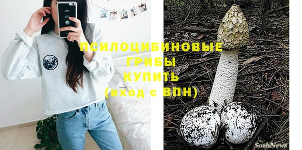 амф Арсеньев