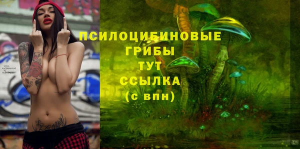 амф Арсеньев