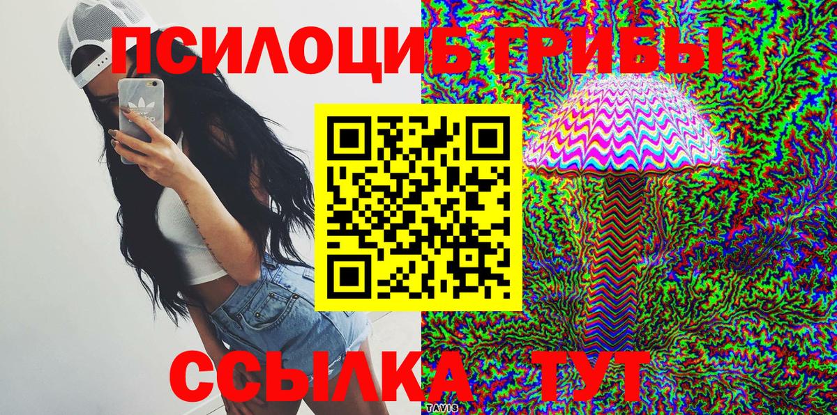 Буйнакск  Псилоцибиновые грибы Psilocybe  Вход с VPN 